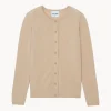 Cardigan Femme Basic