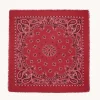 Grand Bandana Cachemire Imprime