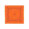 Petit Bandana Cachemire Imprime