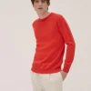 Pull Cachemire Manches Longues Basic