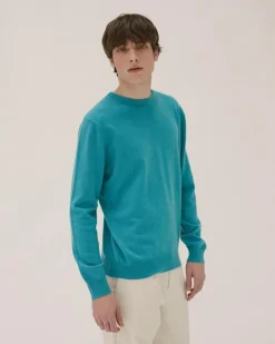Pull Cachemire Manches Longues Basic