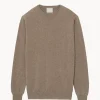 Pull Col Rond Manches Longues Basic