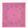 Tres Grand Bandana En Voile De Cachemire, 2 Fils