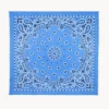 Tres Grand Bandana En Voile De Cachemire, 2 Fils